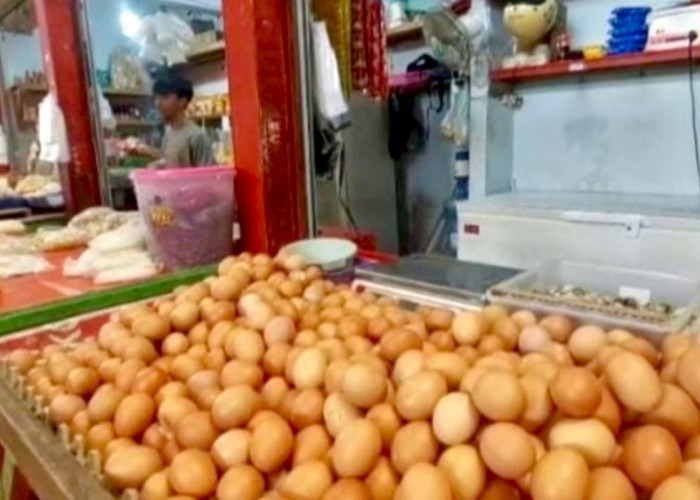 Telur Ayam Langka di Bandar Lampung Usai Lebaran 2026, Harga Terpantau Mulai Melambung