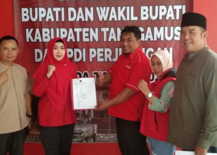 Siap Maju Pilkada 2024, Dewi Handajani Ambil Formulir Pendaftaran Bacalon Bupati di PDIP Tanggamus 