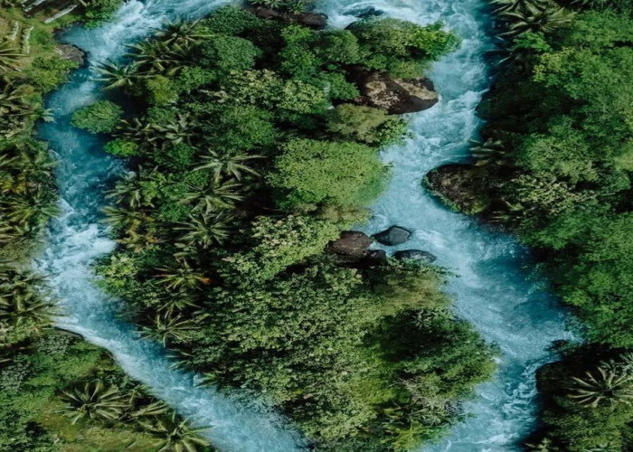 Disebut Mirip Dengan Sungai Aare Di Swiss, Inilah Keindahan Taman Badegolan Kebumen