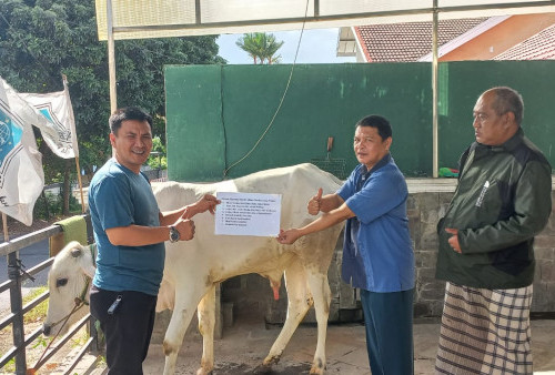 Antisipasi PMK, Nunik Imbau Penerima Daging Kurban untuk Memasak dengan Matang