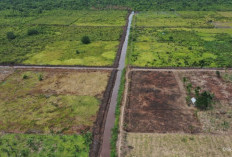 Memasuki Usia 65 Tahun, Hutama Karya Buktikan Kualitas Pertumbuhan, Laba Tumbuh, Neraca Makin Sehat