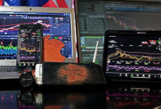 Jangan Telat! Koin Crypto Satu Ini Beri Signal Entry di Saat Market Kembali ke Zona Merah