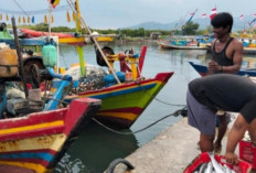 Prakiraan Cuaca Maritim Lampung 10–13 Agustus 2026, Ini Wilayah Perairan yang Rawan Tinggi  Gelombang
