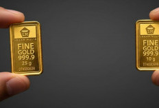 Cek Penurunan Harga Emas Antam Kamis 12 Februari 2025, Saatnya Beli atau Tunggu Lagi?