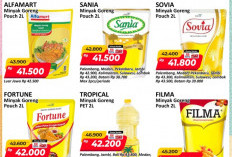 Yuk, Manfaatkan Promo JSM Alfamart, Dapatkan Minyak Goreng Hemat