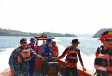 Tiga Hari Belum Ditemukan, Tim SAR Gabungan Perluas Pencarian Penumpang KMP Batumandi Ýang Terjatuh di Laut