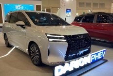 Daftar Harga SUV PHEV Juni 2026, Mulai Rp449 Juta hingga Rp828 Juta