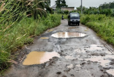 Akses Kereta Sulit, Warga Tanjung Raja Giham Tagih Janji Perbaikan Jalan ke Pemkab Way Kanan