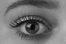 Dalil Hadis Celak Mata Saat Puasa, Ini Penjelasan Ulama Mengenai Kelemahan Riwayat