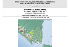 Ini Rincian 23 Titik Panas Tersebar di 5 Kabupaten di Lampung, Waspada Potensi Karhutla?