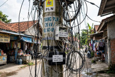 Warga Way Kanan Keluhkan Kabel WiFi Ilegal Menumpang di Tiang PLN
