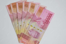 Cek Status BLT Dana Desa 2026 Tahap 2, Panduan Lengkap Online dan Offline