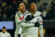 Prediksi Skor Fulham vs Brighton: Laga Berujung Sengit, Fulham Bangkit dari Kekalahan