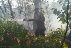 Antisipasi Karhutla, Pemkab Mesuji Terbitkan Surat Edaran untuk Camat dan Kepala Desa