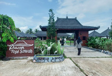 Angin Sepoi Pedesaan Hingga Hangatnya Kebersamaan Sambil Destinasi Kuliner Di Pawon Tepi Sawah Lampung Timur