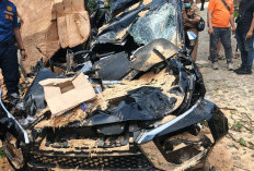 Pohon Tua Tumbang Timpa Dua Kendaraan Tamu, Ini Penjelasan Manajemen Holiday Inn 