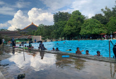 Kolam Renang Unila Jadi Favorit Warga, Fasilitas Lengkap dan Terbuka untuk Umum