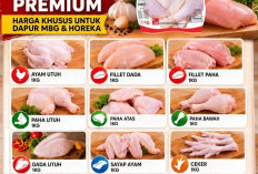 Dukung Program MBG dan Horeka, Prima Mart Siapkan Pasokan Ayam Premium Bersertifikat Halal-NKV
