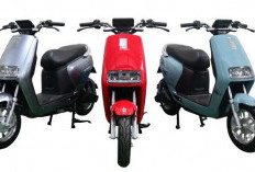 Populasi Motor Listrik di Indonesia Melonjak Tajam, Tembus Ratusan Ribu Unit dalam Waktu Singkat