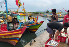 Cuaca Ekstrem Hantam Perairan Lampung: Nelayan Paceklik, Harga Ikan di Pasar Bergejolak