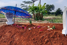 Jatuh Dari Atap Gedung KDMP, Pekerja Bangunan asal Pekalongan Lampung Timur Meninggal Dunia