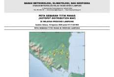 BMKG Deteksi 87 Titik Panas di Lampung, Kabupaten Ini Menyumbang Hotspot Terbanyak