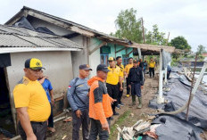 Puting Beliung Terjang Pesisir Tulang Bawang, Sembilan Rumah Rusak dan Tambak Udang Terdampak