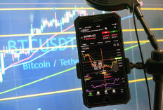 Signal Entry Crypto Muncul! Koin Satu Ini Berpotensi Beri Cuan hingga 70 Persen