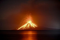 Gunung Anak Krakatau Kembali Erupsi, Semburkan Abu Setinggi 150 Meter