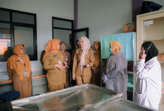 Rumah Sakit Hewan Lampung Ditargetkan Beroperasi Penuh Dua Pekan Lagi, Siap Layani Operasi hingga USG