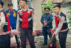 4 Hari Menanti Kabar Pensiunan Guru Di Pringsewu Ini: Ikhtiar Tak Putus Hingga Anjing Pelacak K9 Dikerahkan