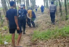 Tragis! Kades Braja Asri Tewas Terinjak Gajah Liar di Lampung Timur