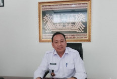 Harga Daging Ayam Ras Sempat Sentuh Rp43 Ribu , Ini Penjelasan Disdag Bandar Lampung 