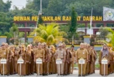 Insyallah, Ribuan PPPK Paruh Waktu Pemkab Mesuji Bakal Terima THR