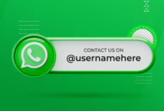 WhatsApp Siapkan Username, Pengguna Tak Lagi Wajib Bagikan Nomor Telepon