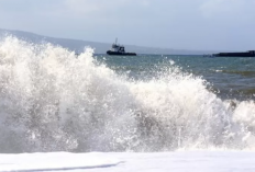 Awal Tahun, Warga Pesisir Lampung Diminta Waspadai Banjir Rob