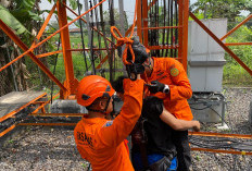 Diduga Akan Diceraikan Sang Istri, Pria di Way Kandis Dua Jam Bertahan di Puncak Tower