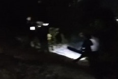 Diduga Dipicu Pembakaran Sampah Ditinggal, Lahan Perbukitan Campang Jaya Terbakar