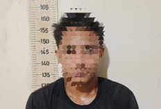 Polisi Tangkap Terduga Pencuri 33 Tandan Sawit di Mesuji 