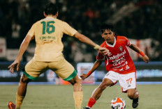 Link Live Streaming Bali United vs Persija: Uji Disiplin Melawan Ketajaman, Atmosfer Dipta Memanas