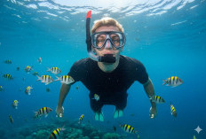 Nikmati Kecantikan Bawah Laut! Pakai Prompt Gemini AI Ini, Ciptakan Foto ala Snorkeling