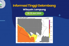 ​Waspada, BMKG Maritim Keluarkan Peringatan Dini Gelombang Tinggi Capai 4 Meter di Perairan Lampung
