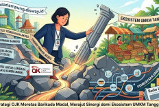 Strategi OJK Meretas Barikade Modal, Merajut Sinergi demi Ekosistem UMKM Tangguh