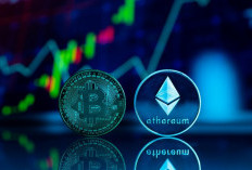 Gaji UMR Bisa Investasi Crypto? Ini 6 Cara Aman Main Aset Digital Supaya Tidak Jadi Korban Rugi