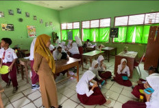 Program Makan Bergizi Gratis di SDN 2 Sukarame Terhenti Sejak Awal 2026, Ini Penyebabnya!