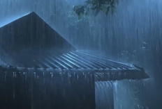 Update Prakiraan Cuaca Jumat Ini Masih Belum Stabil