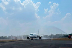 TransNusa Resmi Buka Rute Lampung-Kuala Lumpur, Penerbangan Setiap Hari Mulai Hari Ini