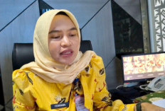 Ekonomi Bandar Lampung Menggeliat, 4.699 NIB Terbit Hingga Maret 2026, Sukarame Paling Dominan