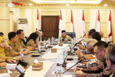 APBD-P Lampung Diintervensi untuk Kejar PSN PSEL