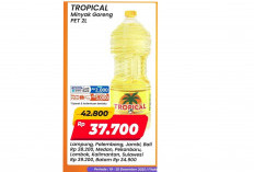 Banjir Promo Minyak Goreng Di Alfamart Lampung: Minyak Goreng Tropical 2 Liter Hanya Rp 38.200 aja!